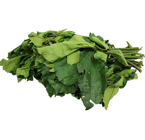 Ugu leaves (fluted pumpkin)