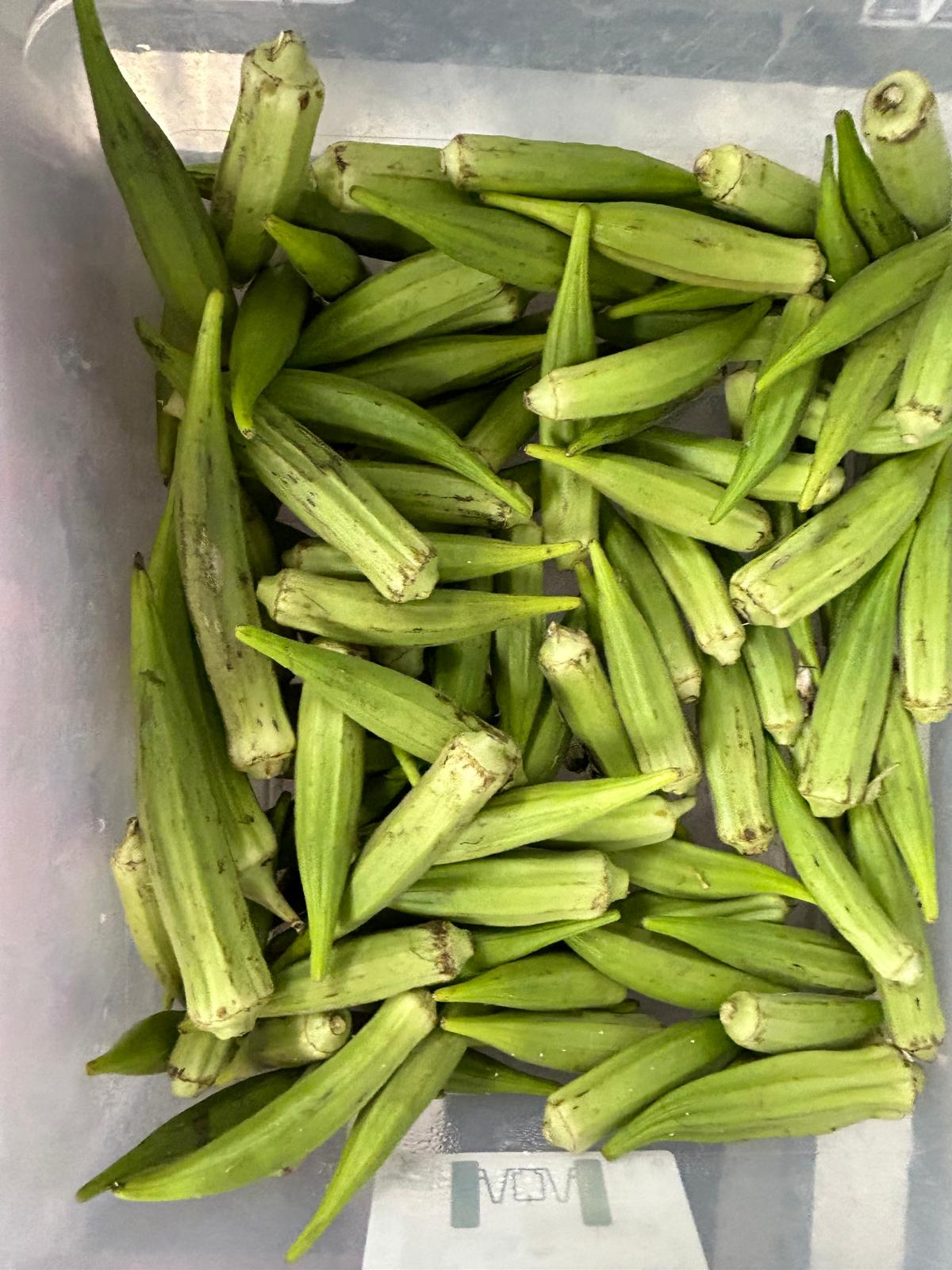 Fresh Okra