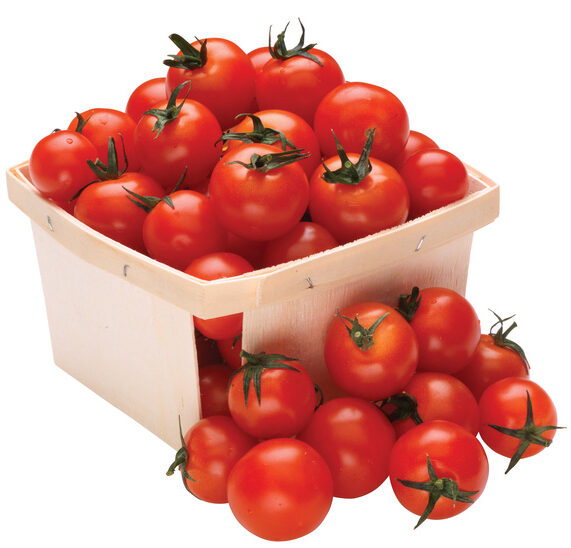 Fresh vine tomatoes 25lbs