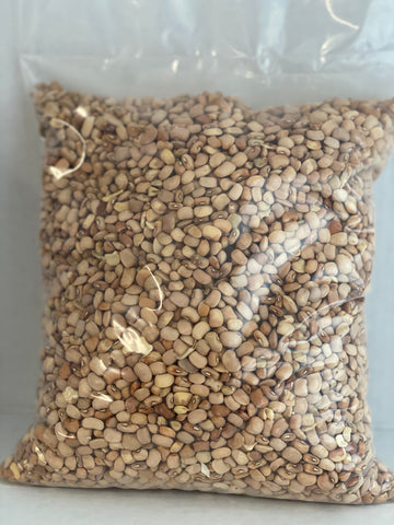 Honey Beans 10lbs